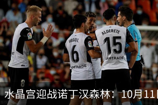 水晶宫迎战诺丁汉森林：10月11日英超直播动态无法访问